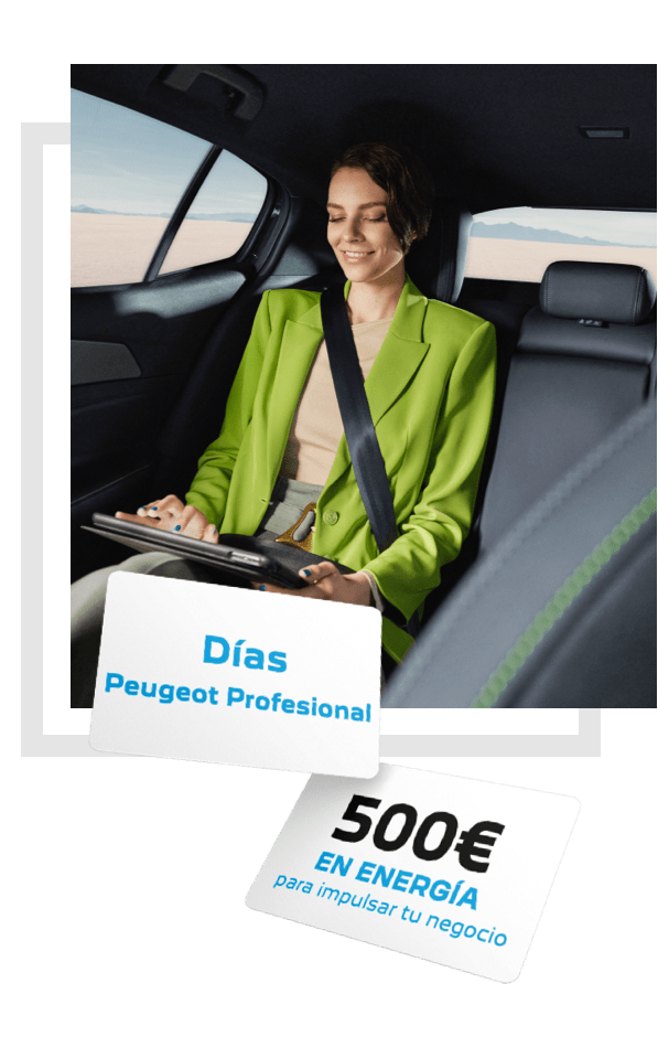 Dias Peugeot Profesional